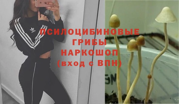 прущая мука Ветлуга